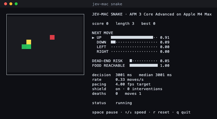 jev-mac's snake demo in a terminal: the model picks every move, and the panel beside the board shows its probabilities for the four directions, the dead-end risk and whether the food is reachable.